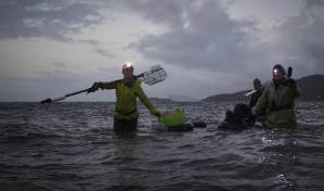 Se hunde la actividad marisquera en Galicia por el calentamiento global y la contaminación
