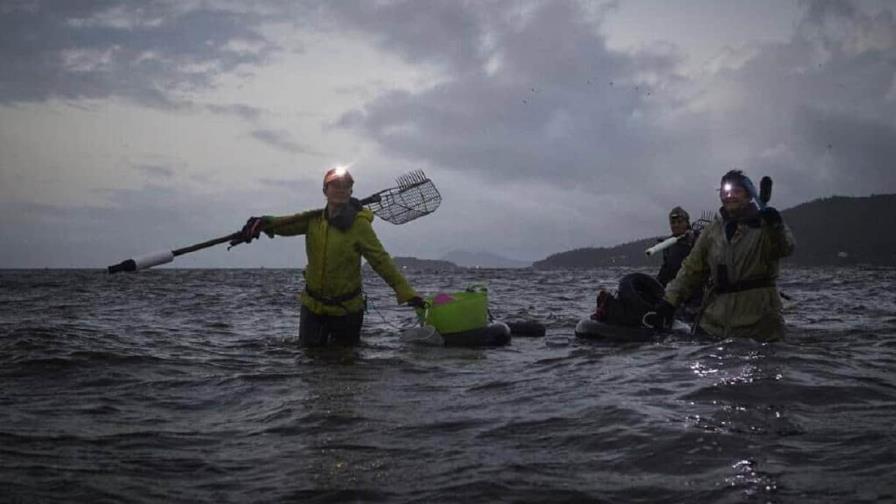 Se hunde la actividad marisquera en Galicia por el calentamiento global y la contaminaci&oacute;n