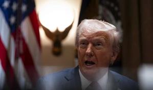 Grupos hispanos critican la orden de Trump de declarar el inglés el idioma oficial de EE. UU. Grupos hispanos critican la orden de Trump de declarar el inglés el idioma oficial de EE. UU.