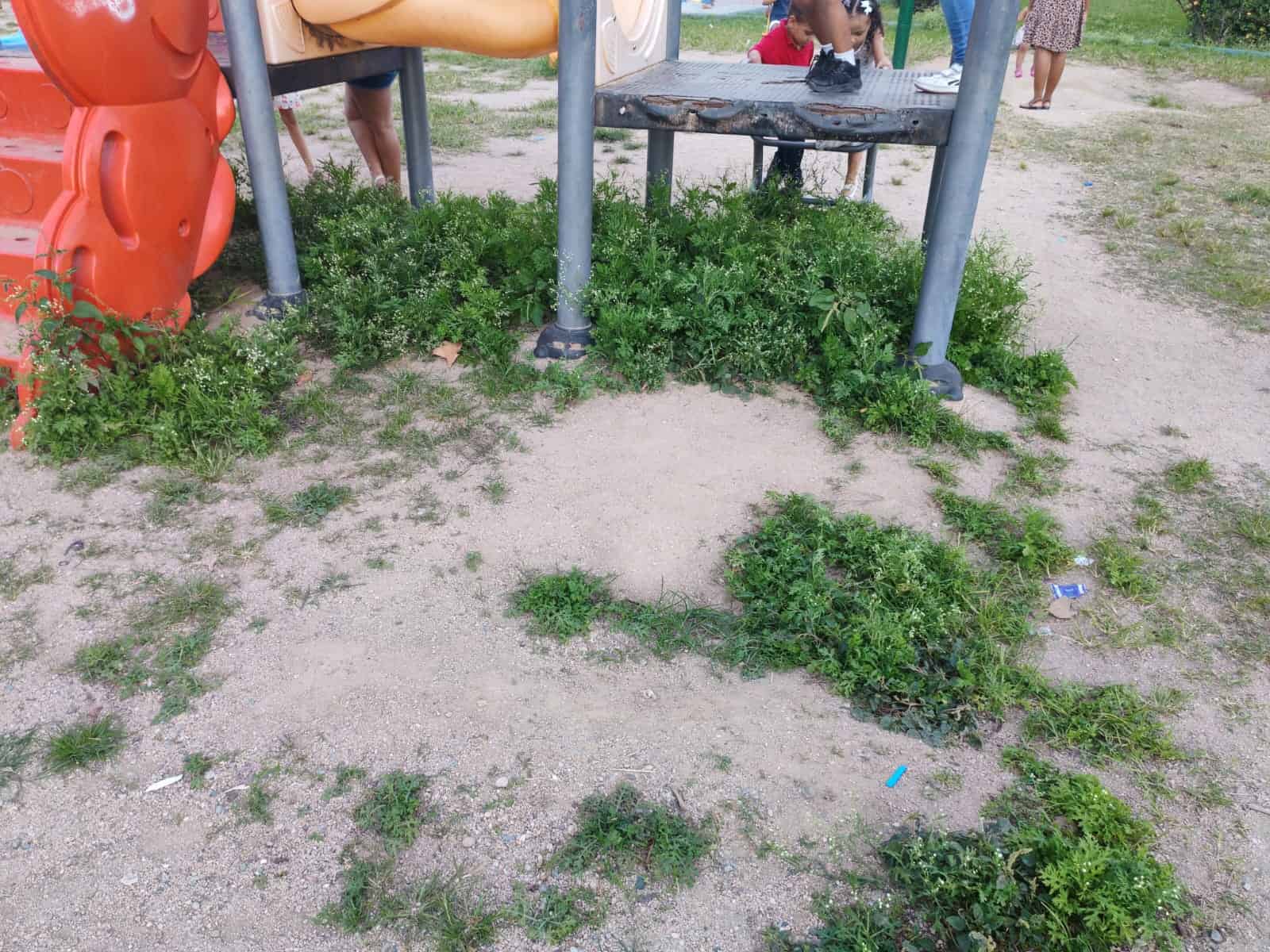 Imagen del mal estado del Parque Italia. 
