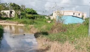 Moradores de Anamuya, Higüey, exigen arreglo de calles intransitables que afectan escuela