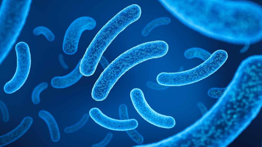 Resistencia de las bacterias a los antibióticos