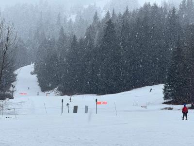 Expertos intentan llegar al lugar de la avalancha en Alaska