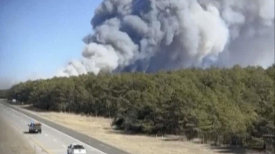 Bomberos buscan contener incendio forestal impulsado por el viento en Long Island