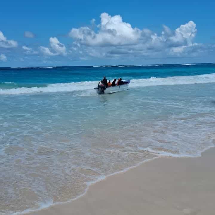 [object HTMLTextAreaElement]