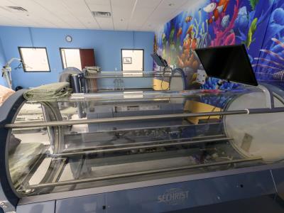 Acusan a 4 en Michigan por muerte de niño en cámara hiperbárica