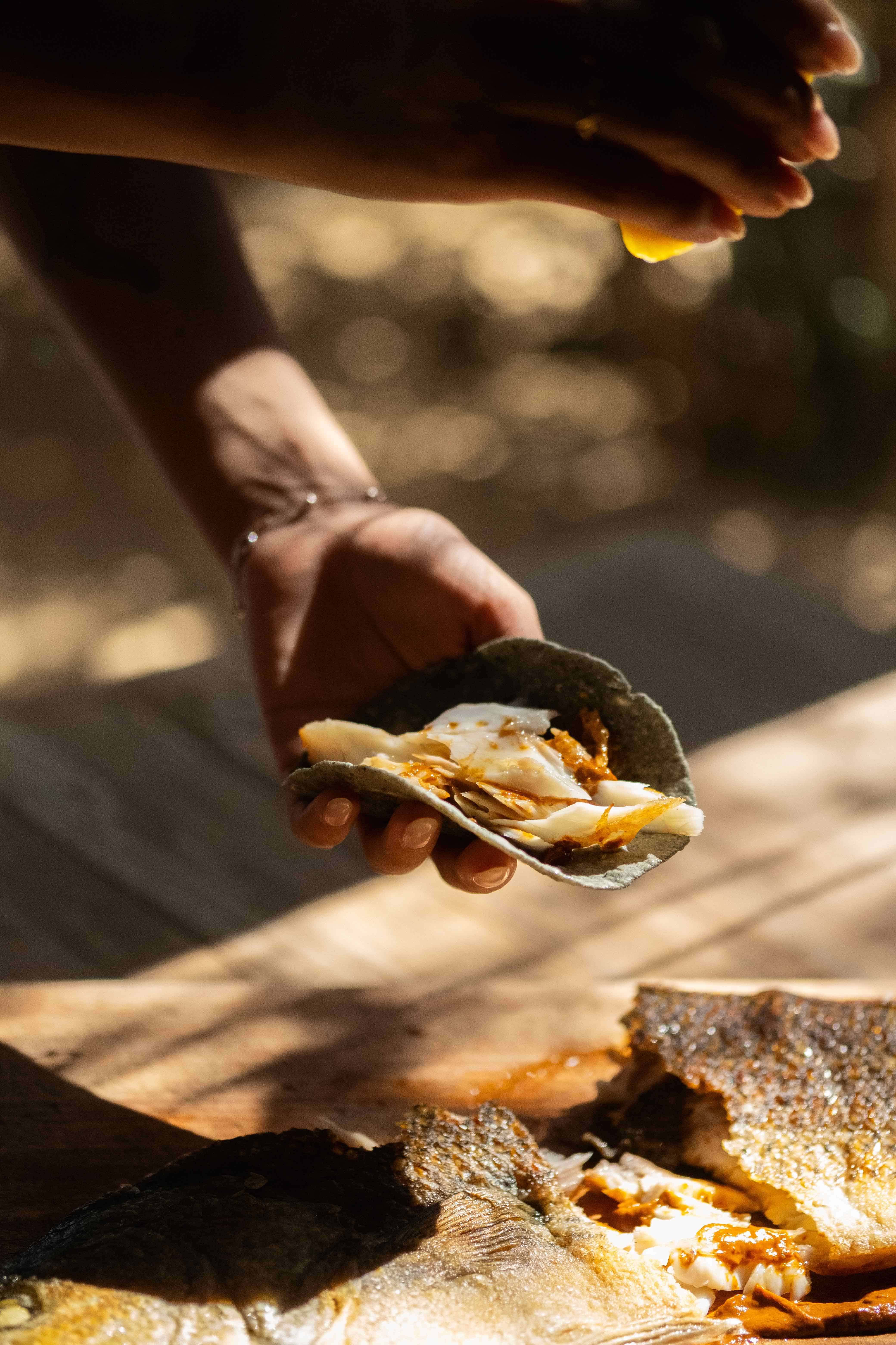 Menú del restaurante Fauna.