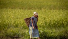 Desarrollar&aacute;n programa para dinamizar econom&iacute;as locales con mujeres rurales