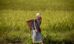 Desarrollar&aacute;n programa para dinamizar econom&iacute;as locales con mujeres rurales