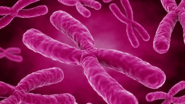 El gen del cromosoma X que podría explicar por qué las mujeres viven más y mejor
