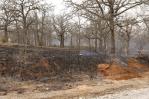Los incendios dejan cuatro muertos y cientos de casas destruidas en Oklahoma
