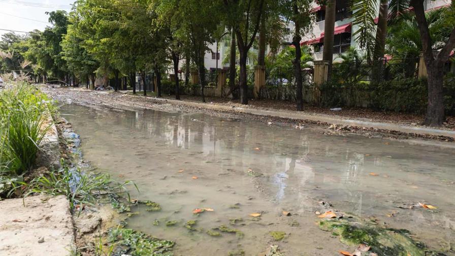 Melissa y la lección que no aprendemos Melissa y la lección que no aprendemos