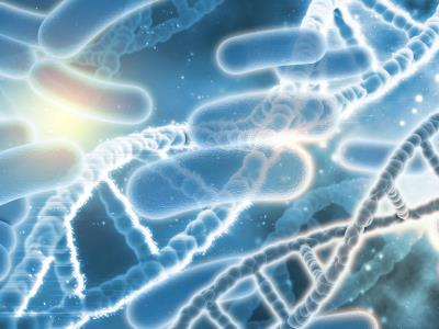 Crean con IA virus sintéticos capaces de combatir bacterias