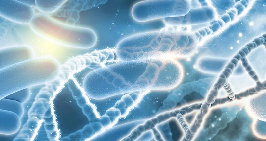 Cient&iacute;ficos crean con IA virus sint&eacute;ticos capaces de combatir bacterias resistentes