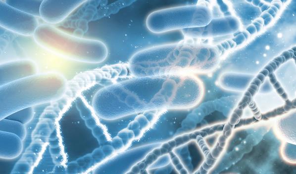 Cient&iacute;ficos crean con IA virus sint&eacute;ticos capaces de combatir bacterias resistentes