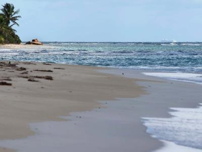 Muere otro turista ahogado en playa de Puerto Rico