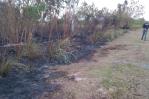 Sofocan incendio forestal en la Autovía del Este que afectó la entrada a San Pedro de Macorís
