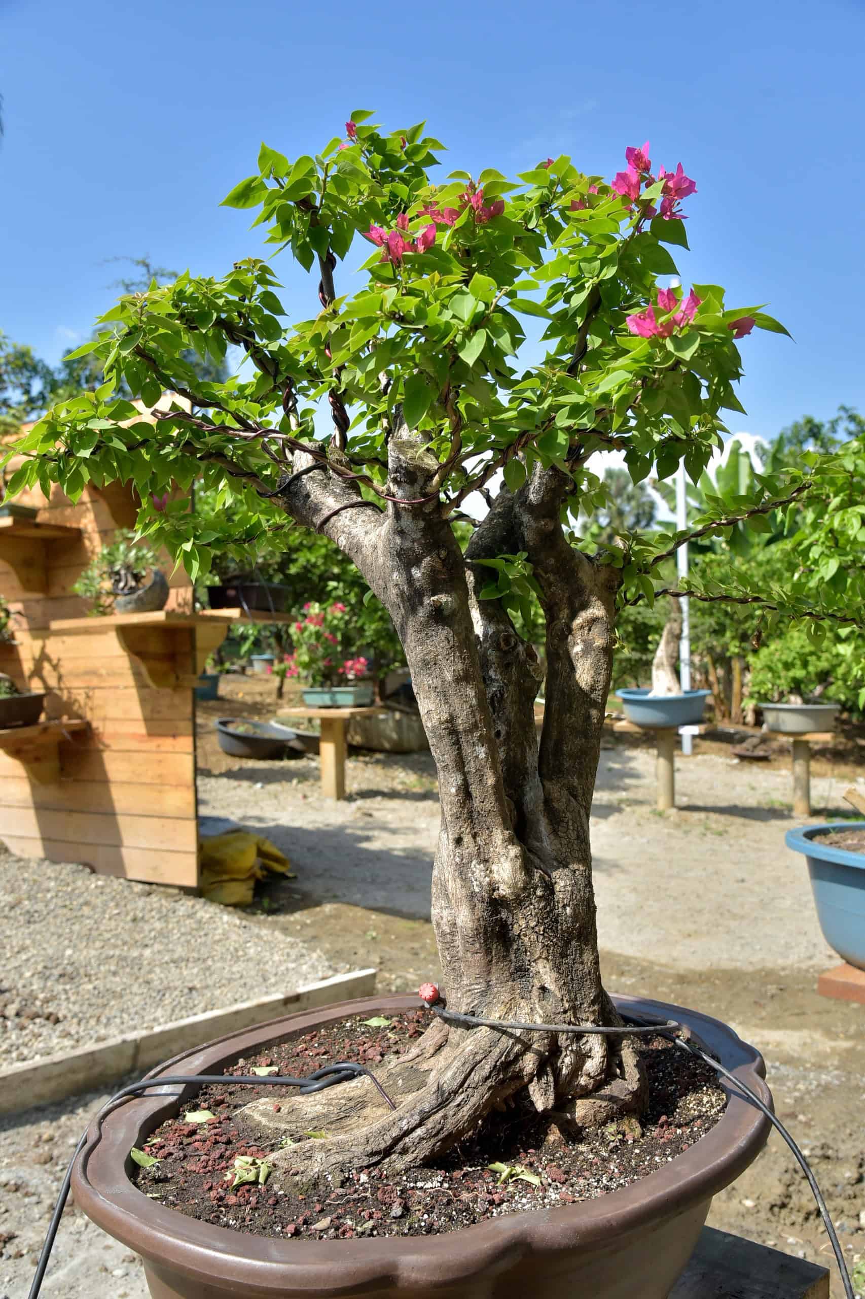 [object HTMLTextAreaElement]