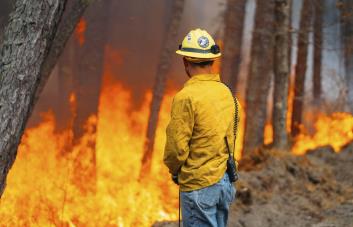 Bomberos en las Carolinas combaten varios incendios forestales, Nueva Jersey controla otro