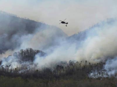 Incendios en las Carolinas, avivados por árboles caído Helene