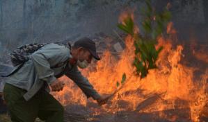 Un incendio daña ya más de 80 hectáreas de bosque en el oriente de Cuba Un incendio daña ya más de 80 hectáreas de bosque en el oriente de Cuba