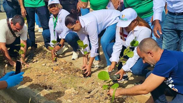 Digecac y la UAPA siembran 2,500 plantas en la avenida Ecológica