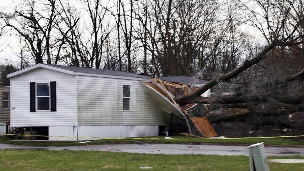 Tres muertos por la caída de un árbol en Míchigan; daños en Tennessee por tormentas generalizadas