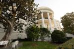 La Casa Blanca retirará de su jardín un árbol plantado hace casi 200 años debido a deterioro