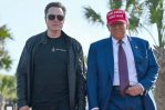 Trump y Musk: dos trayectorias paralelas, una ruptura inesperada