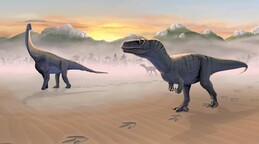 Identifican un nuevo dinosaurio a partir de un f&oacute;sil que estuvo en un caj&oacute;n 100 a&ntilde;os