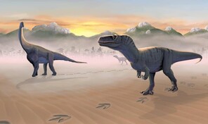 Identifican un nuevo dinosaurio a partir de un f&oacute;sil que estuvo en un caj&oacute;n 100 a&ntilde;os
