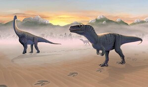 Identifican un nuevo dinosaurio a partir de un f&oacute;sil que estuvo en un caj&oacute;n 100 a&ntilde;os