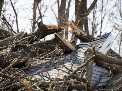 Tornados causan estragos en la región centro norte y el sur de EEUU