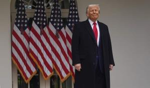 Tribunal anula los aranceles globales impuestos por Trump