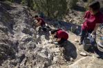 Identifican en Portugal nuevo espécimen de dinosaurio que vivió hace 150 millones de años