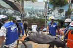 El n&uacute;mero de muertos por el terremoto en Birmania sube a 3,085
