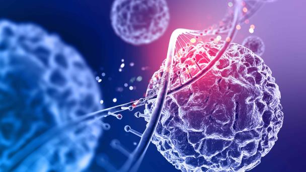 Las citoquinas, que combaten las infecciones, también inducen ansiedad o sociabilidad