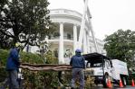 Trump tala uno de los árboles más antiguos de la Casa Blanca y planta el MAGAnolia