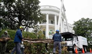 Trump tala uno de los árboles más antiguos de la Casa Blanca y planta el MAGAnolia