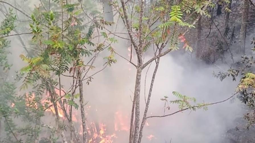 Se registra incendio forestal en comunidad de San José de Ocoa Se registra incendio forestal en comunidad de San José de Ocoa