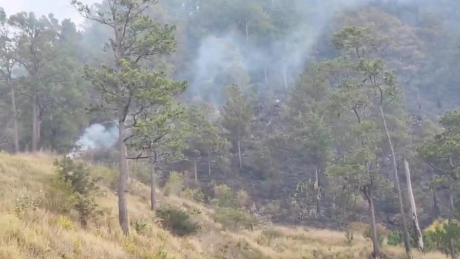 Sofocan en un 100 % incendio forestal en Valle Nuevo Sofocan en un 100 % incendio forestal en Valle Nuevo