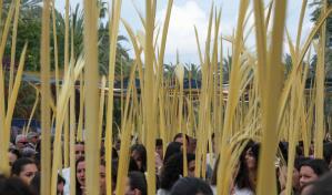 Inicia la Semana Santa 2025 con celebraciones del Domingo de Ramos en todo el país Inicia la Semana Santa 2025 con celebraciones del Domingo de Ramos en todo el país