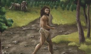 Mandíbula antigua de Taiwán pertenece a un grupo misterioso de ancestros humanos