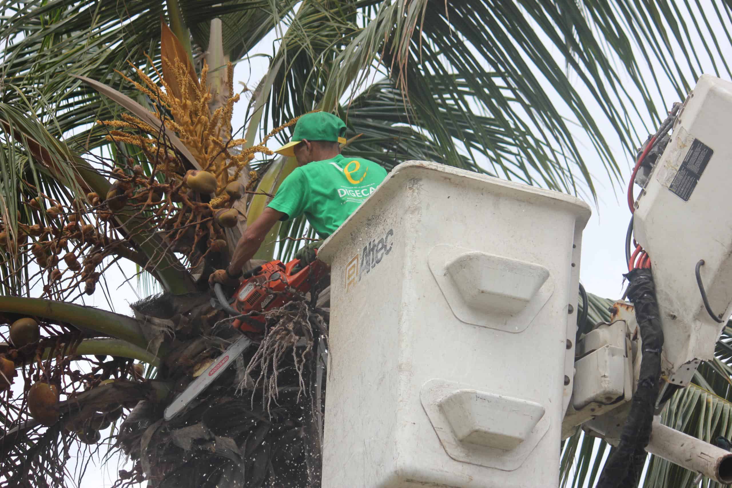 [object HTMLTextAreaElement]