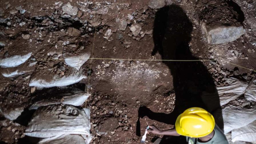 Reabren al público las cuevas sudafricanas llamadas la cuna de la humanidad Reabren al público las cuevas sudafricanas llamadas la cuna de la humanidad