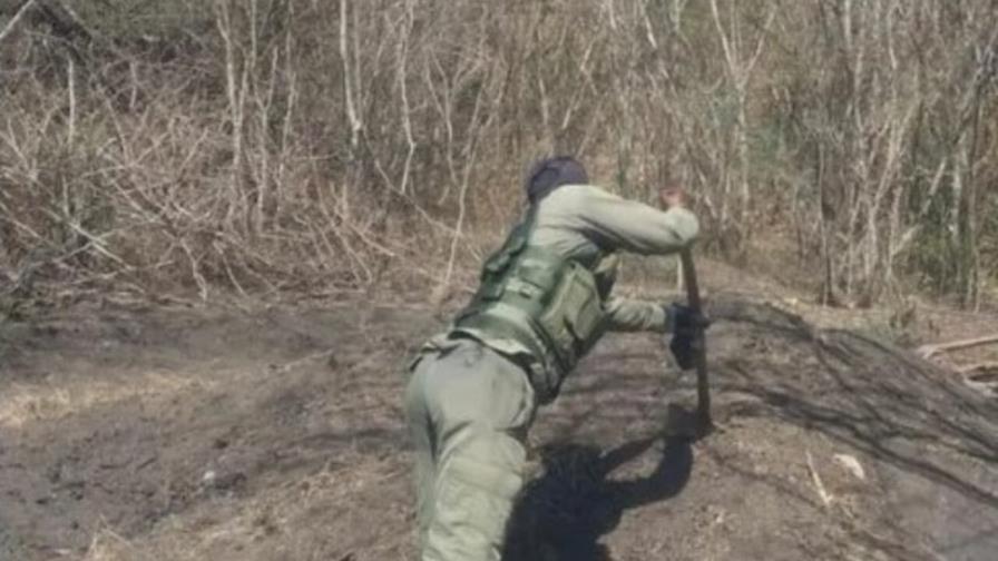 Autoridades ejecutan operativo en parques nacionales contra ocupación y tala ilegal Autoridades ejecutan operativo en parques nacionales contra ocupación y tala ilegal