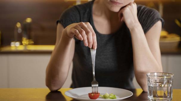 Científicos españoles y belgas demuestran que el cerebro puede controlar el apetito