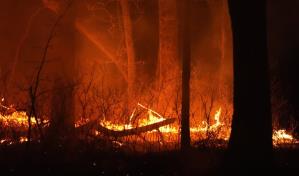 Levantan órdenes de evacuación tras incendio forestal en Nueva Jersey