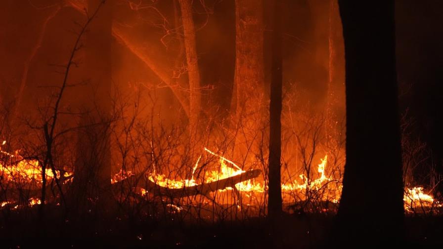 Levantan órdenes de evacuación tras incendio forestal en Nueva Jersey Levantan órdenes de evacuación tras incendio forestal en Nueva Jersey