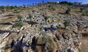 Los púnicos fueron, según su ADN, una civilización cosmopolita poco ligada a los fenicios Los púnicos fueron, según su ADN, una civilización cosmopolita poco ligada a los fenicios